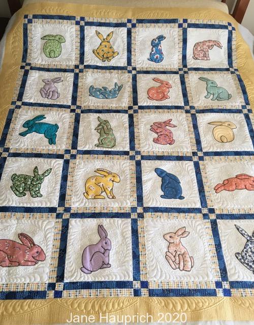 Turtle Parade discount Quilted Baby Blanket